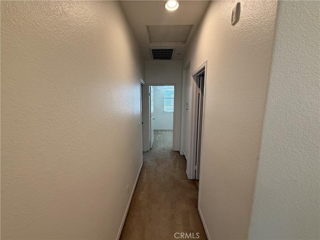 194 Principia Ct, Claremont, CA 91711 - hallway with carpet flooring and a textured wall