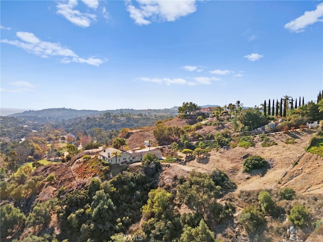 2240 Aqua Hill Rd, Fallbrook, CA 92028 - mountain view