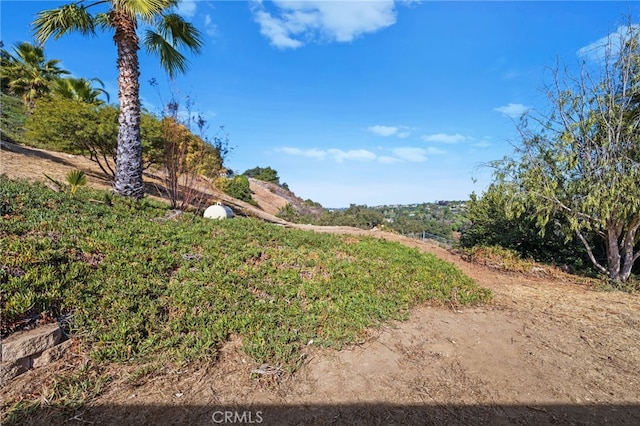 2240 Aqua Hill Rd, Fallbrook, CA 92028 - view of yard