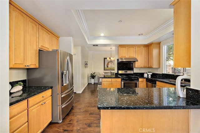 800 W Huntington Dr Unit D, Arcadia, CA 91007 - kitchen featuring stainless steel appliances, crown molding, a peninsula, dark wood-style flooring, and under cabinet range hood