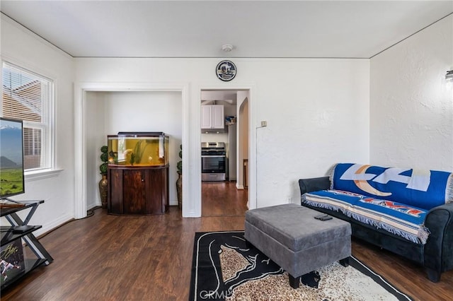 228 S 4th St, Santa Paula, CA 93060 - photo 7