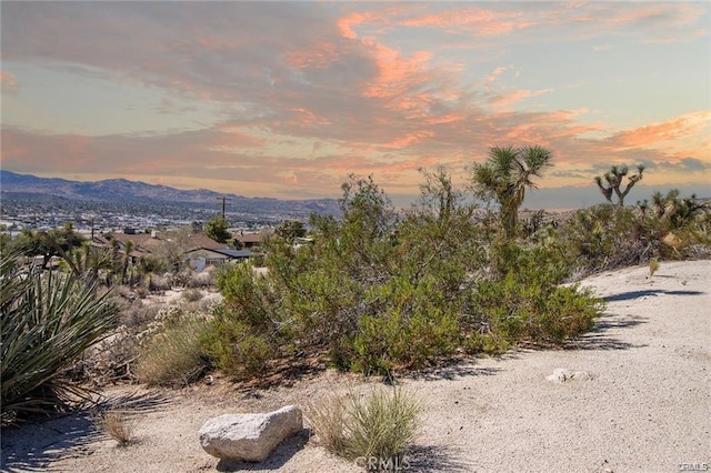 6328 Palo Alto Ave, Yucca Valley, CA 92284 - photo 3