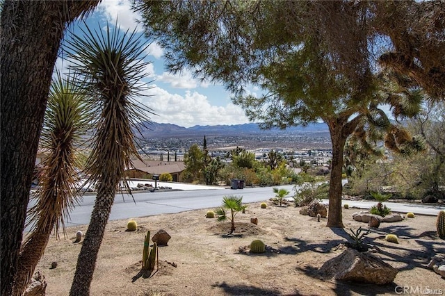 6328 Palo Alto Ave, Yucca Valley, CA 92284 - photo 10