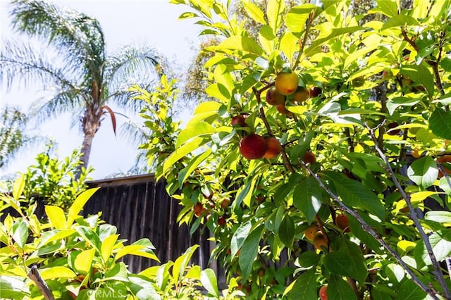 32181 Kale Ln, Winchester, CA 92596 - photo 42