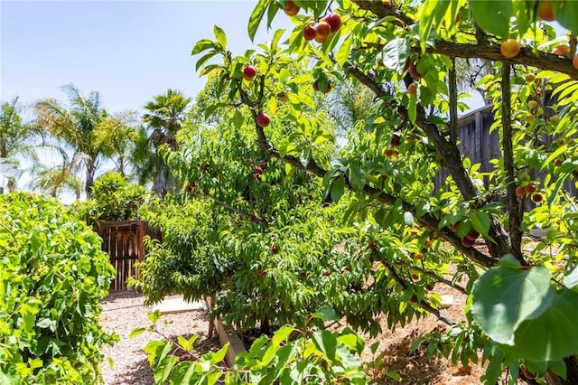 32181 Kale Ln, Winchester, CA 92596 - photo 43