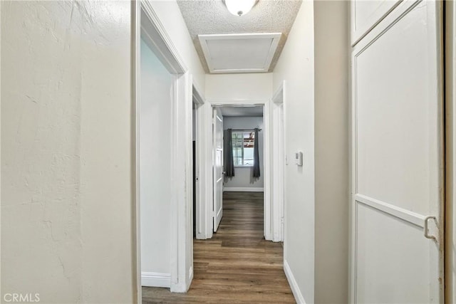 10507 Ben Avon St, Whittier, CA 90606 - photo 11