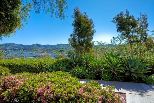 66 Glenalmond Ln, Ladera Ranch, CA 92694 - view of yard with a mountain view