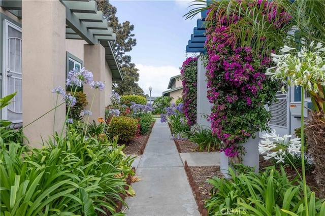 16509 Caballero Ln Unit 30B, Huntington Beach, CA 92649 - view of property's community
