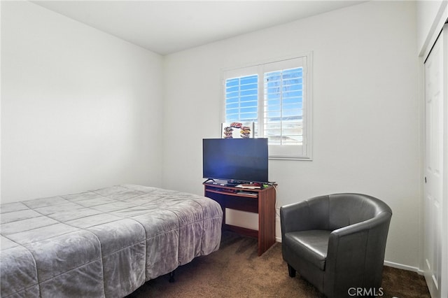 13525 Evanston St, Victorville, CA 92392 - carpeted bedroom with baseboards and a closet