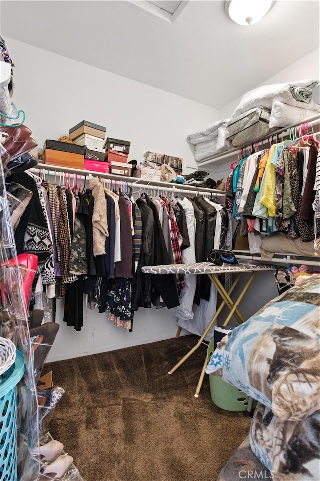 13525 Evanston St, Victorville, CA 92392 - walk in closet with carpet flooring