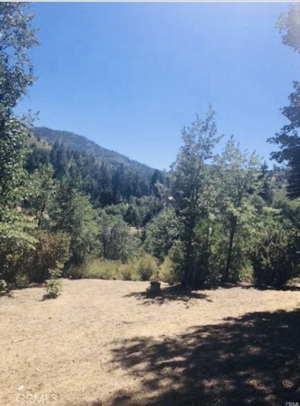 508 Redwood Rd, Cedar Glen, CA 92321