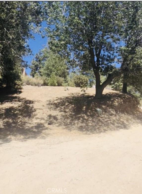 508 Redwood Rd, Cedar Glen, CA 92321