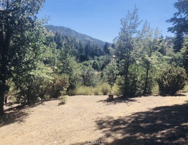 508 Redwood Rd, Cedar Glen, CA 92321