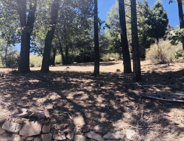 508 Redwood Rd, Cedar Glen, CA 92321