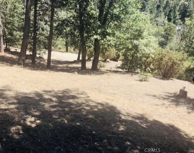 508 Redwood Rd, Cedar Glen, CA 92321