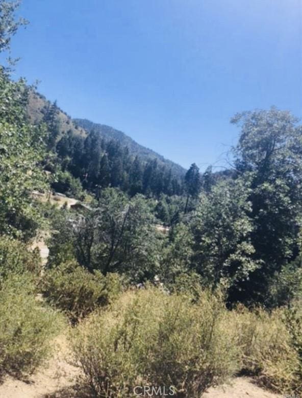 508 Redwood Rd, Cedar Glen, CA 92321