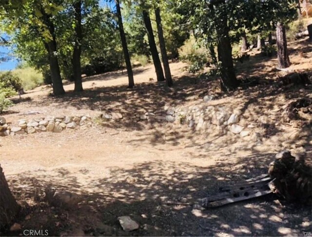 508 Redwood Rd, Cedar Glen, CA 92321