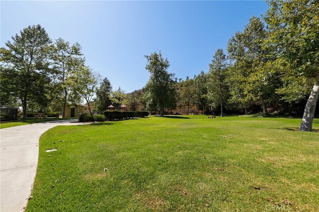 5527 Patricia Way, Yorba Linda, CA 92887 - view of green lawn