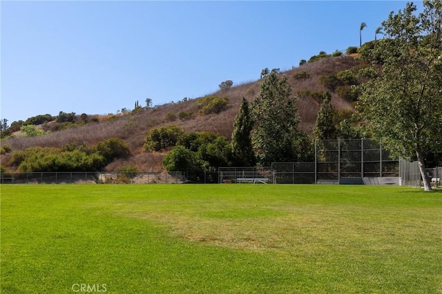 5527 Patricia Way, Yorba Linda, CA 92887 - view of yard