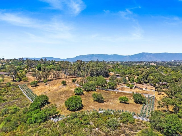 13511 Hilldale Rd, Valley Center, CA 92082 - photo 27
