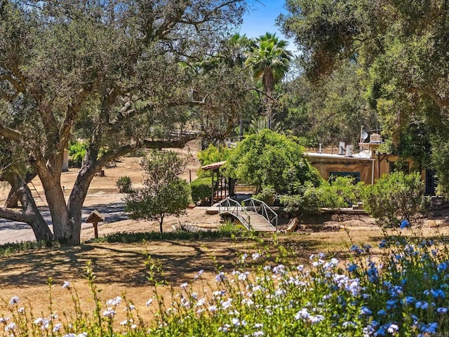 13511 Hilldale Rd, Valley Center, CA 92082 - photo 5