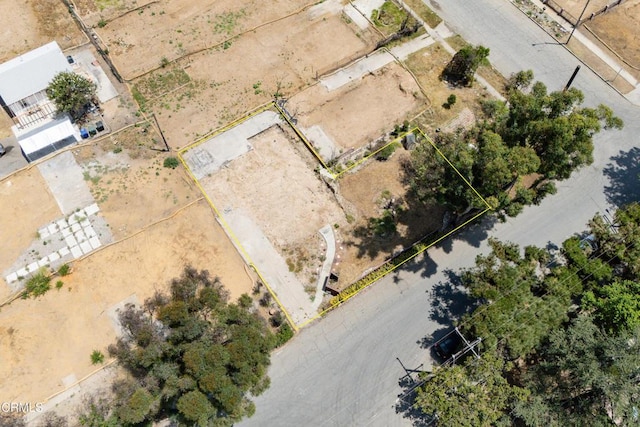 2836 Glenrose Ave, Altadena, CA 91001 - photo 2