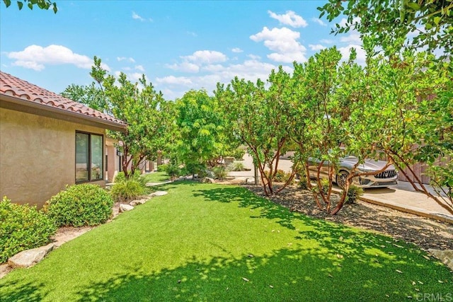 1935 Granite Hills Dr, El Cajon, CA 92019 - view of grassy yard