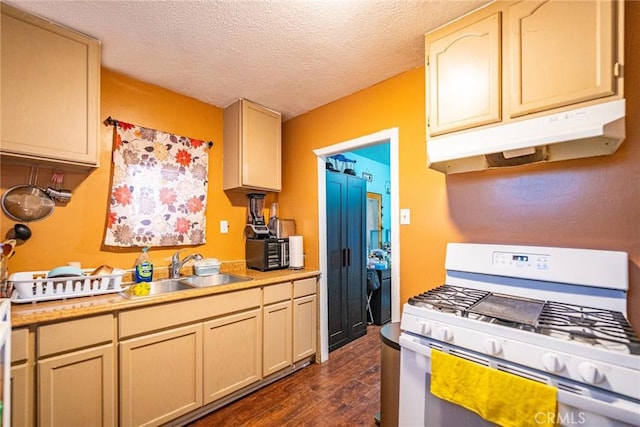 903 E 109th Pl, Los Angeles, CA 90059 - photo 26