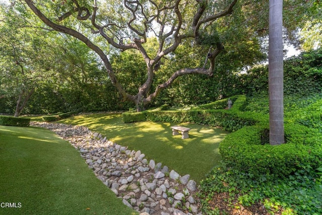 1205 Linda Vista Ave, Pasadena, CA 91103 - view of green lawn