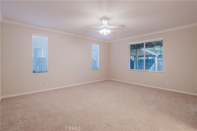 650 Cedar Mountain Dr, Newman, CA 95360 - photo 18