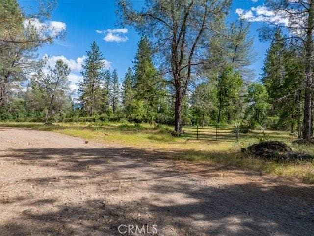 0 Backbone, Shasta, CA 96008