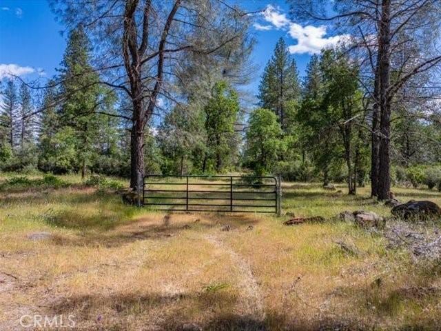 0 Backbone, Shasta, CA 96008