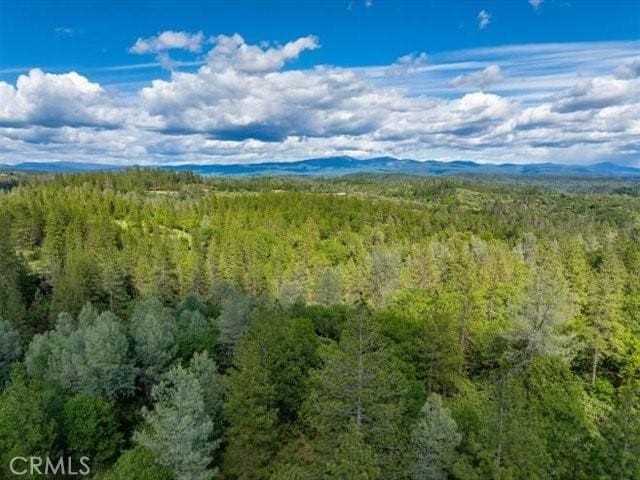 0 Backbone, Shasta, CA 96008