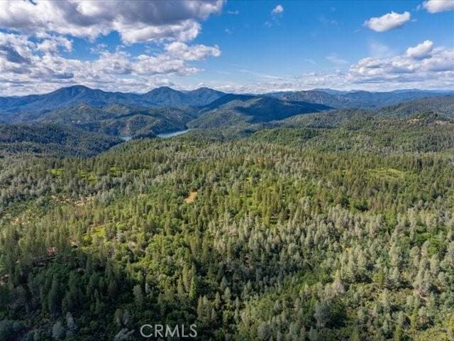 0 Backbone, Shasta, CA 96008