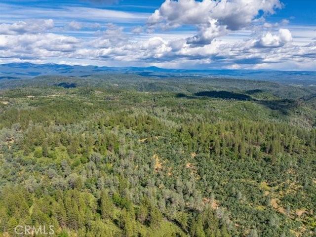 0 Backbone, Shasta, CA 96008