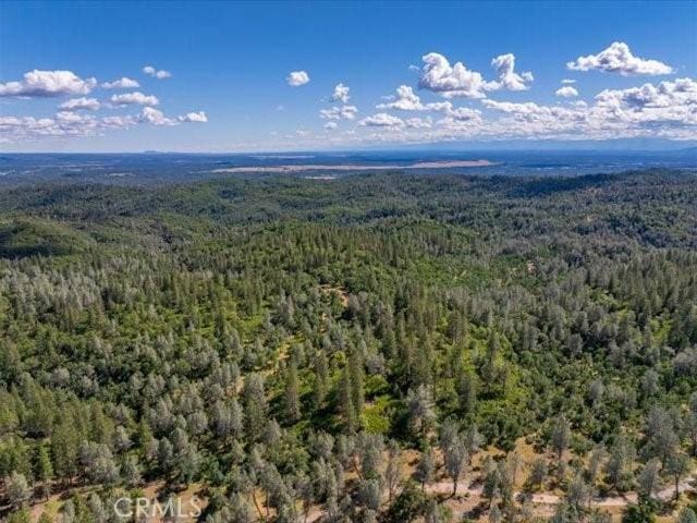 0 Backbone, Shasta, CA 96008