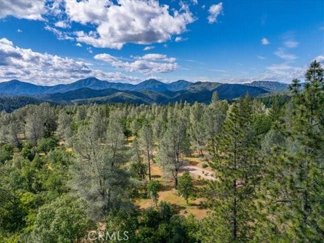 0 Backbone, Shasta, CA 96008