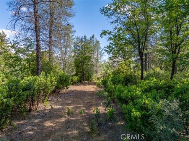 0 Backbone, Shasta, CA 96008
