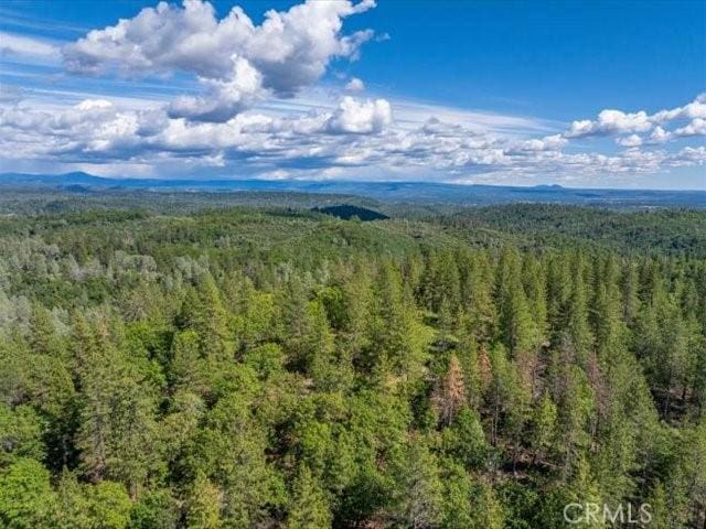 0 Backbone, Shasta, CA 96008