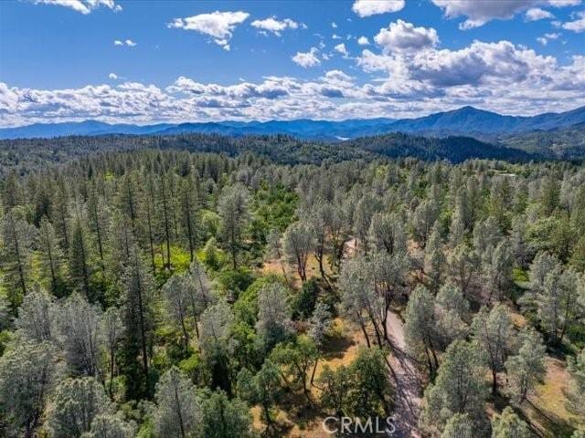 0 Backbone, Shasta, CA 96008