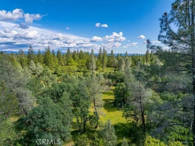 0 Backbone, Shasta, CA 96008