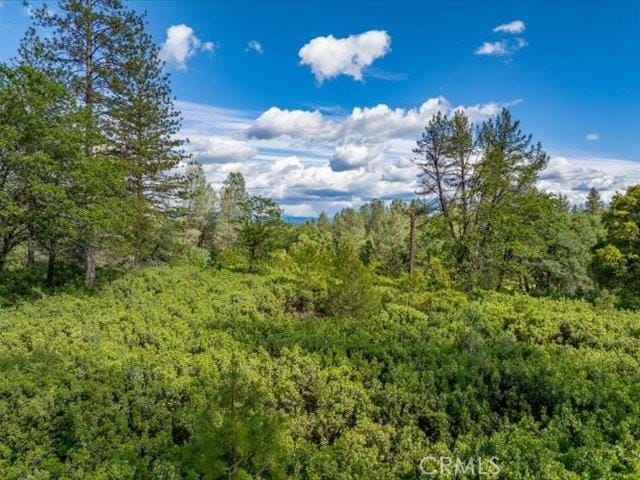 0 Backbone, Shasta, CA 96008