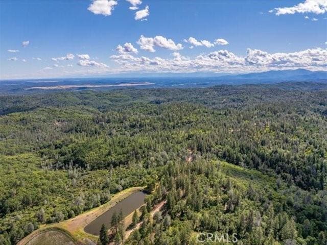 0 Backbone, Shasta, CA 96008