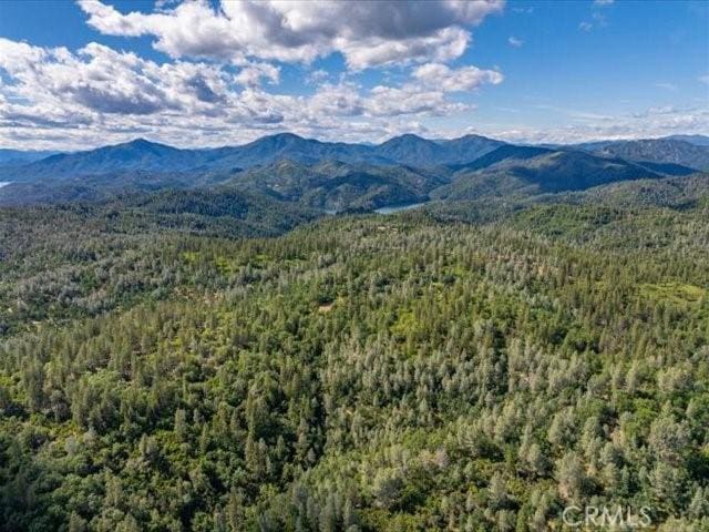0 Backbone, Shasta, CA 96008