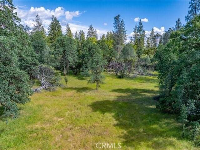 0 Backbone, Shasta, CA 96008
