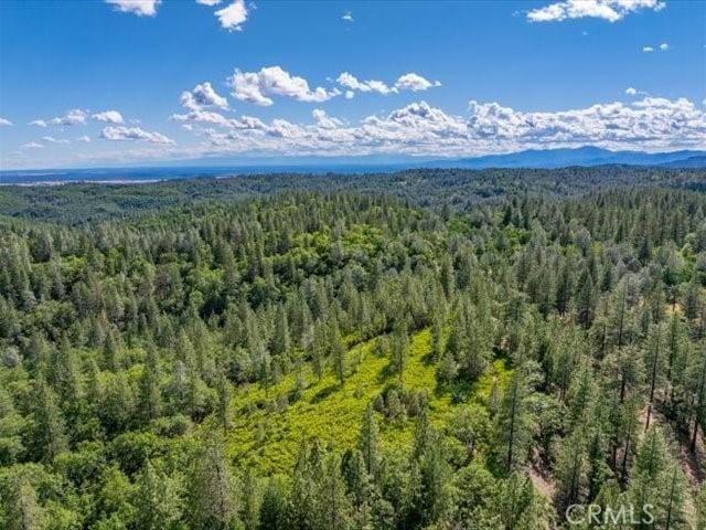 0 Backbone, Shasta, CA 96008