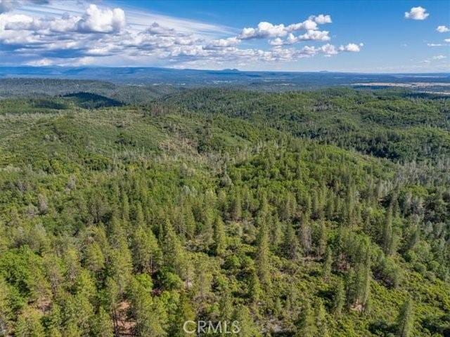 0 Backbone, Shasta, CA 96008