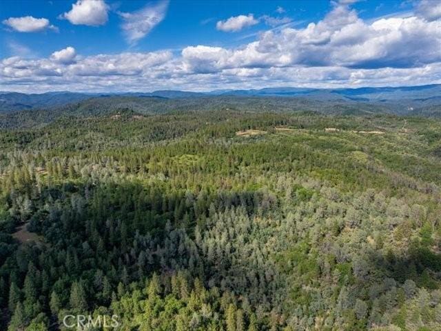 0 Backbone, Shasta, CA 96008