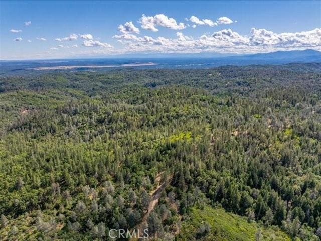 0 Backbone, Shasta, CA 96008