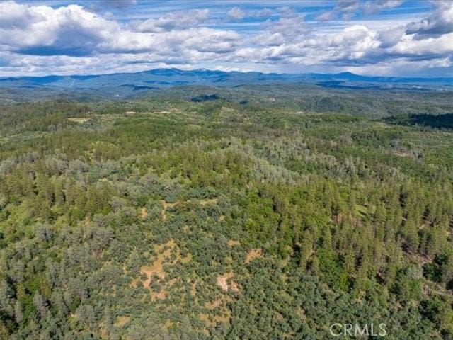 0 Backbone, Shasta, CA 96008